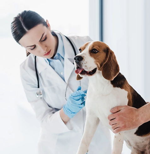 Sancaktepe Veteriner