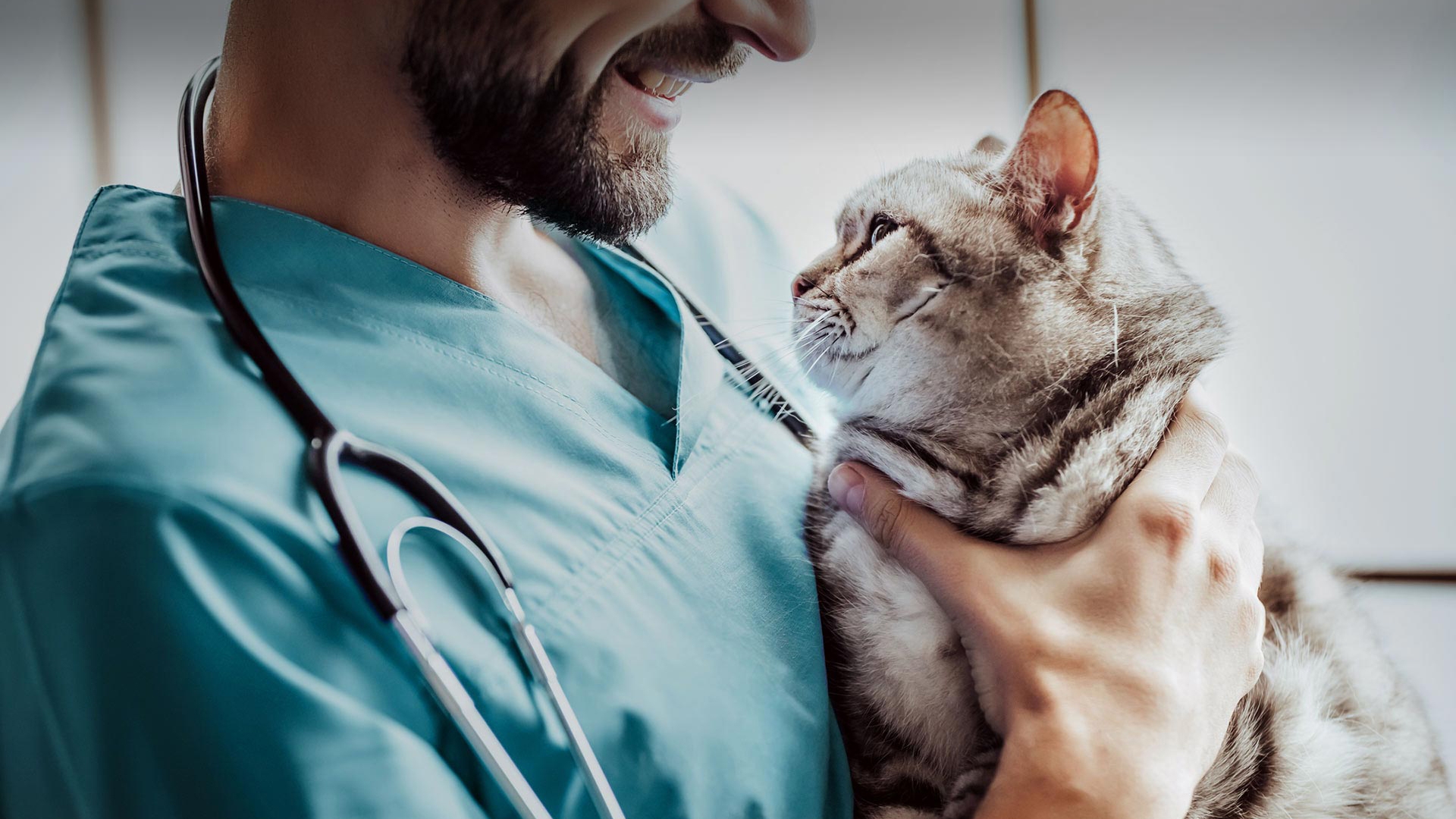 Sancaktepe Veteriner